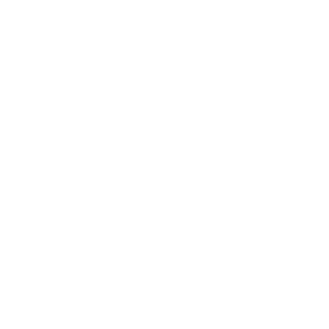 Lake Eustis Sailing Foundation Logo