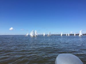 420s Sailing on Lake Eustis
