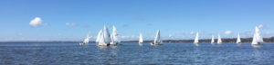 Boats on Lake Eustis